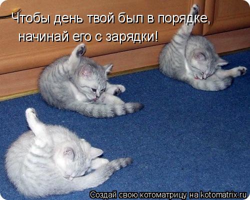 Котоматрица: Чтобы день твой был в порядке,   начинай его с зарядки!
