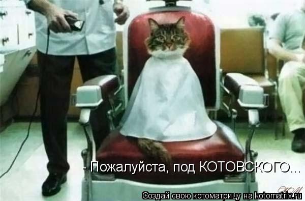 - Пожалуйста, под КОТОВСКОГО...... Котоматрица: - Пожалуйста, под КОТОВСКОГО...