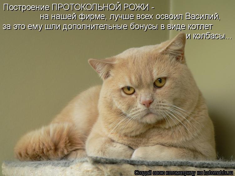 Построение ПРОТОКОЛЬНОЙ РОЖИ - на нашей фирме, лучше всех освоил Василий, за это ему шли дополнительн... Котоматрица: Построение ПРОТОКОЛЬНОЙ РОЖИ - на нашей фирме, лучше всех освоил Василий, за это ему шли дополнительные бонусы в виде котлет и колбасы...