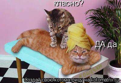 класно? ДА да... Котоматрица: класно? ДА да