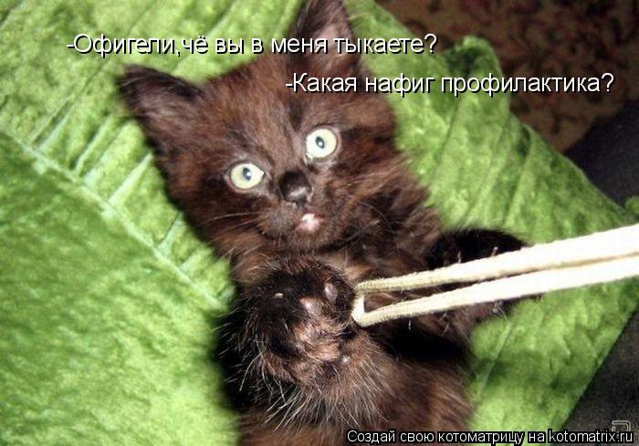 -Офигели,чё вы в меня тыкаете? -Какая нафиг профилактика?... Котоматрица: -Офигели,чё вы в меня тыкаете? -Какая нафиг профилактика?