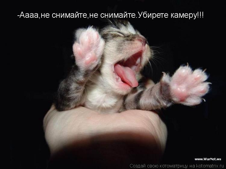 -Аааа,не снимайте,не снимайте.Убирете камеру!!!... Котоматрица: -Аааа,не снимайте,не снимайте.Убирете камеру!!!