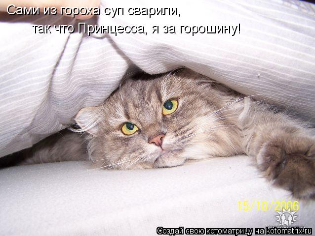 Сами из гороха суп сварили, так что Принцесса, я за горошину!... Котоматрица: Сами из гороха суп сварили, так что Принцесса, я за горошину!