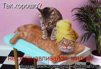 Так хорошо? - не останавливайся, милый!... Котоматрица: Так хорошо? - не останавливайся, милый!