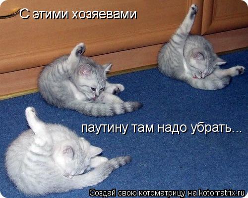 С этими хозяевами С этими хозяевами паутину там надо убрать...... Котоматрица: С этими хозяевами С этими хозяевами паутину там надо убрать...