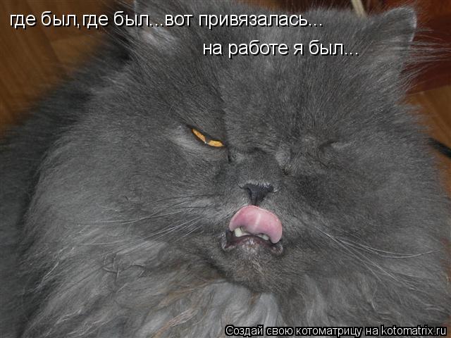 где был,где был...вот привязалась... на работе я был...... Котоматрица: где был,где был...вот привязалась... на работе я был...