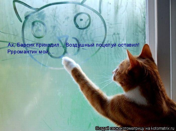 Котоматрица: Ах, Барсик приходил... Воздушный поцелуй оставил! Ррромантик мой....