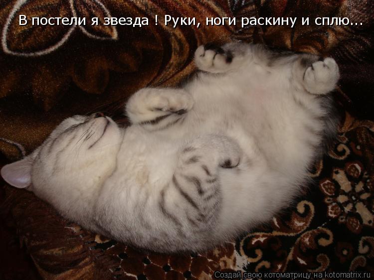 В постели я звезда ! Руки, ноги раскину и сплю...... Котоматрица: В постели я звезда ! Руки, ноги раскину и сплю...