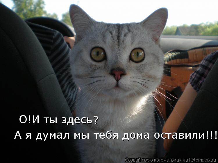 О!И ты здесь ? А я думал мы тебя дома оставили!!!... Котоматрица: О!И ты здесь ? А я думал мы тебя дома оставили!!!