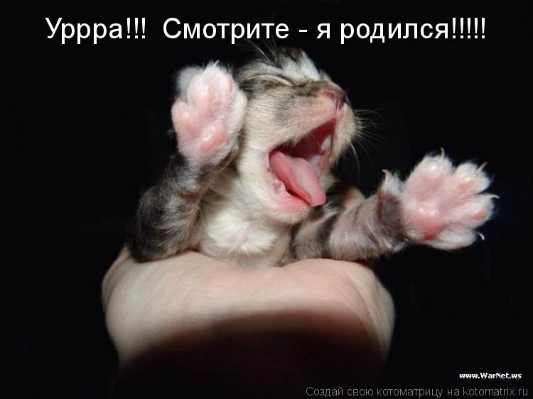 Уррра!!! Смотрите - я родился!!!!!... Котоматрица: Уррра!!! Смотрите - я родился!!!!!