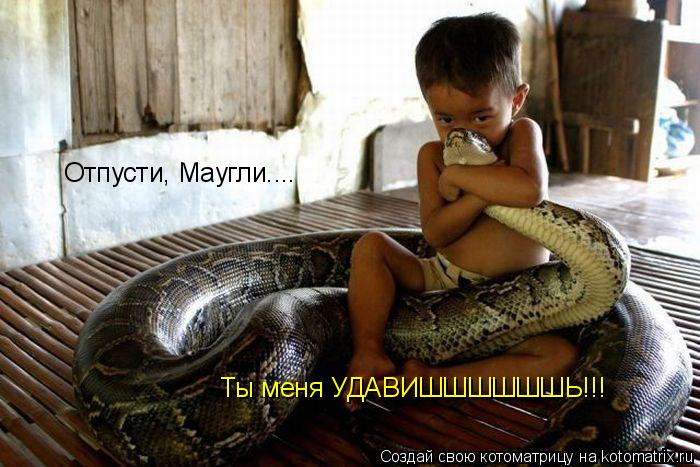 Отпусти, Маугли.... Ты меня УДАВИШШШШШШЬ!!!... Котоматрица: Отпусти, Маугли.... Ты меня УДАВИШШШШШШЬ!!!