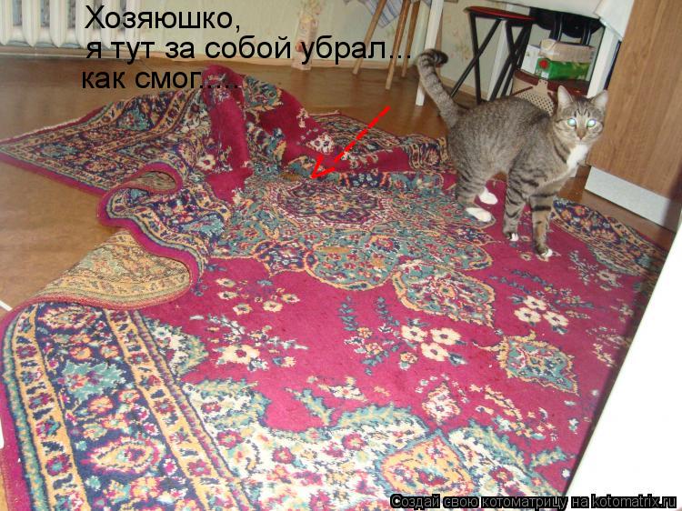 <----- я тут за собой убрал... как смог..... Хозяюшко,... Котоматрица: <----- я тут за собой убрал... как смог..... Хозяюшко,