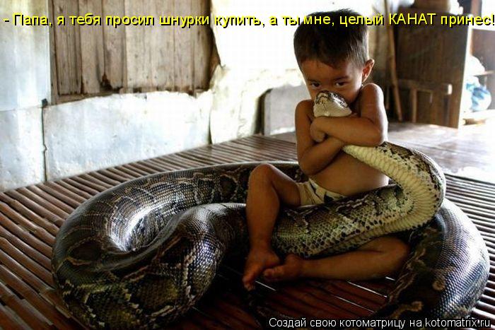 - Папа, я тебя просил шнурки купить, а ты мне, целый КАНАТ принес!... Котоматрица: - Папа, я тебя просил шнурки купить, а ты мне, целый КАНАТ принес!