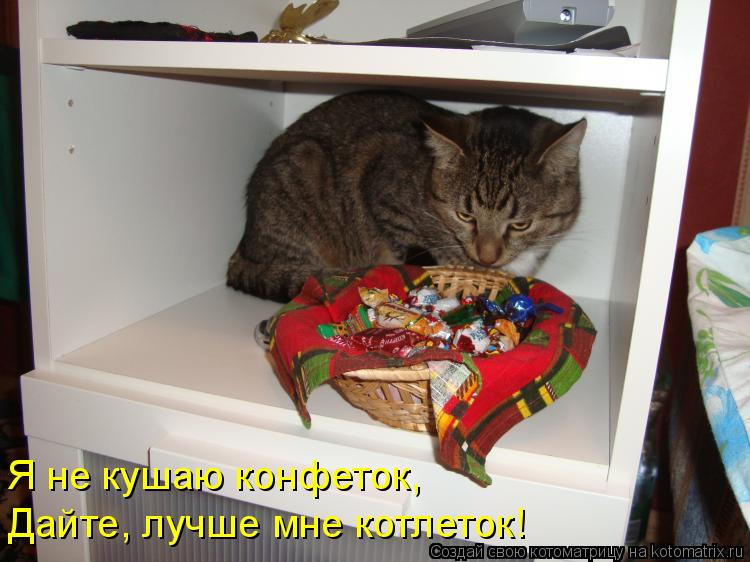 Дайте, лучше мне котлеток! Я не кушаю конфеток,... Котоматрица: Дайте, лучше мне котлеток! Я не кушаю конфеток,