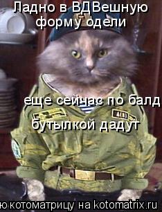 Ладно в ВДВешную форму одели еще сейчас по балде бутылкой дадут... Котоматрица: Ладно в ВДВешную форму одели еще сейчас по балде бутылкой дадут