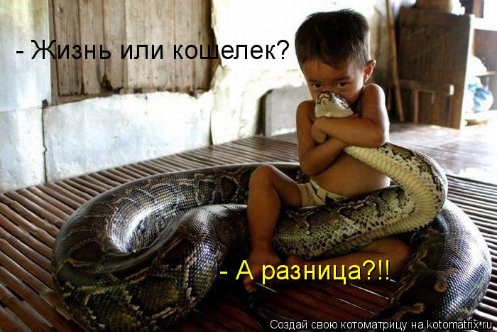 - Жизнь или кошелек? - А разница?!!... Котоматрица: - Жизнь или кошелек? - А разница?!!