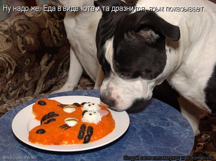 Ну надо же. Еда в виде кота и та дразнится, язык показывает.... Котоматрица: Ну надо же. Еда в виде кота и та дразнится, язык показывает.