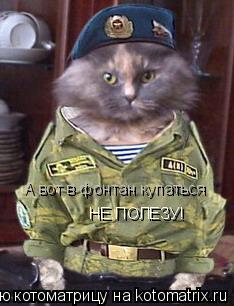 НЕ ПОЛЕЗУ! А вот в фонтан купаться... Котоматрица: НЕ ПОЛЕЗУ! А вот в фонтан купаться