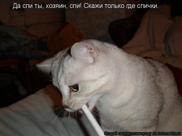 Да спи ты, хозяин, спи! Скажи только где спички.... Котоматрица: Да спи ты, хозяин, спи! Скажи только где спички.