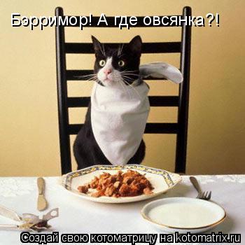 Бэрримор! А где овсянка?!... Котоматрица: Бэрримор! А где овсянка?!
