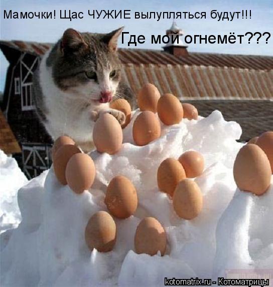 Мамочки! Щас ЧУЖИЕ вылупляться будут!!! Где мой огнемёт???... Котоматрица: Мамочки! Щас ЧУЖИЕ вылупляться будут!!! Где мой огнемёт???