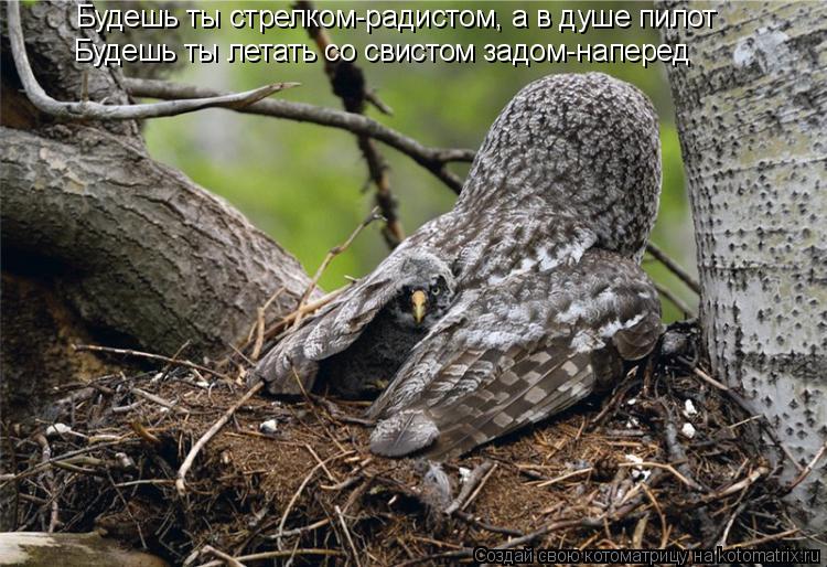 Будешь ты стрелком-радистом, а в душе пилот Будешь ты летать со свистом задом-наперед... Котоматрица: Будешь ты стрелком-радистом, а в душе пилот Будешь ты летать со свистом задом-наперед