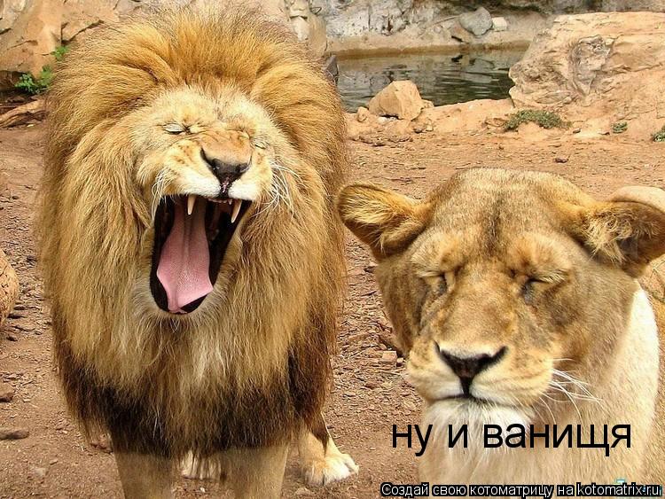 ну и ванищя... Котоматрица: ну и ванищя