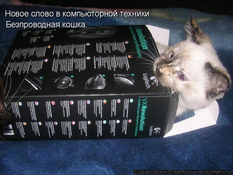 Котоматрица: Новое слово в компьюторной техники Безпроводная кошка.