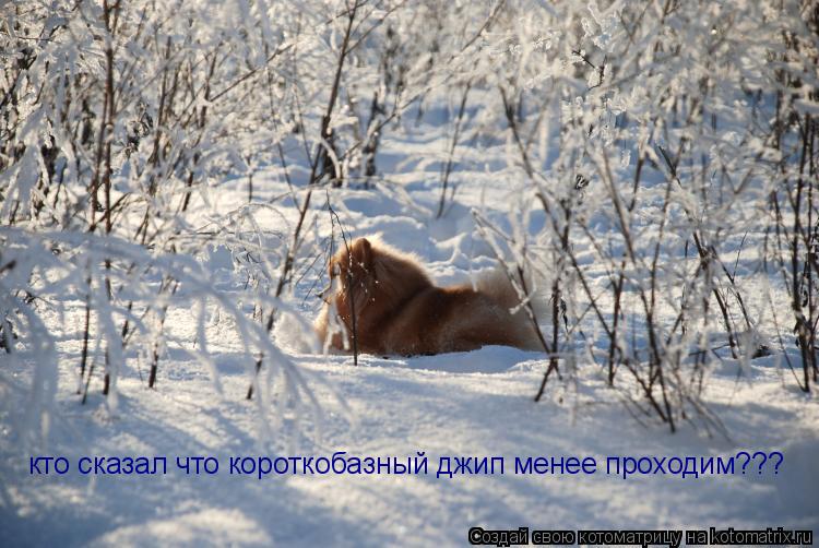 кто сказал что короткобазный джип менее проходим???... Котоматрица: кто сказал что короткобазный джип менее проходим???