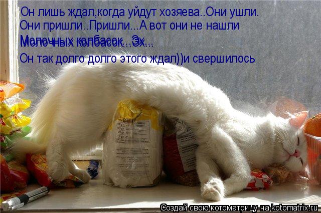 Он лишь ждал,когда уйдут хозяева..Они ушли. Они пришли..Пришли...А вот они не нашли Молочных колбасок... Котоматрица: Он лишь ждал,когда уйдут хозяева..Они ушли. Они пришли..Пришли...А вот они не нашли Молочных колбасок...Эх... Молочных колбасок...Эх... Он так долг
