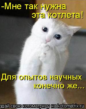 Котоматрица: -Мне так нужна эта котлета! Для опытов научных конечно же...