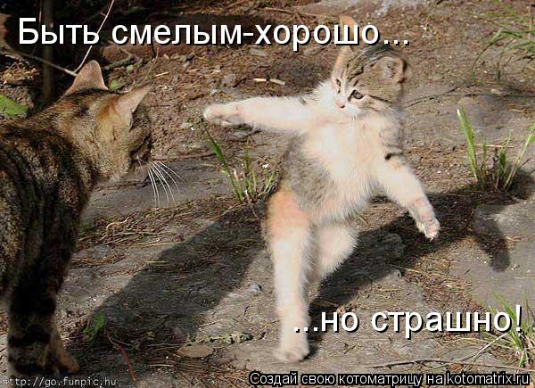 Быть смелым-хорошо... ...но страшно!... Котоматрица: Быть смелым-хорошо... ...но страшно!