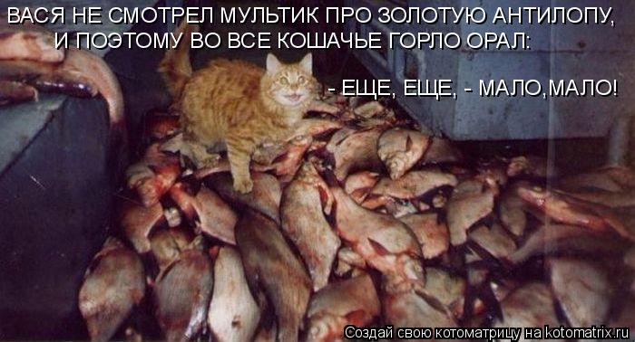 ВАСЯ НЕ СМОТРЕЛ МУЛЬТИК ПРО ЗОЛОТУЮ АНТИЛОПУ, И ПОЭТОМУ ВО ВСЕ КОШАЧЬЕ ГОРЛО ОРАЛ: - ЕЩЕ, ЕЩЕ, - МАЛО... Котоматрица: ВАСЯ НЕ СМОТРЕЛ МУЛЬТИК ПРО ЗОЛОТУЮ АНТИЛОПУ, И ПОЭТОМУ ВО ВСЕ КОШАЧЬЕ ГОРЛО ОРАЛ: - ЕЩЕ, ЕЩЕ, - МАЛО,МАЛО!