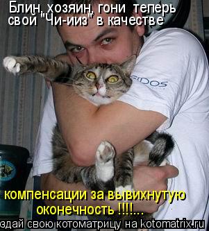 Блин, хозяин, гони теперь свой "Чи-ииз" в качестве компенсации за вывихнутую оконечность !!!!...... Котоматрица: Блин, хозяин, гони теперь свой "Чи-ииз" в качестве компенсации за вывихнутую оконечность !!!!...