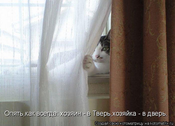 Опять,как всегда: хозяин - в Тверь,хозяйка - в дверь.... Котоматрица: Опять,как всегда: хозяин - в Тверь,хозяйка - в дверь.