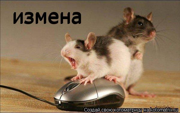 измена измена измена... Котоматрица: измена измена измена