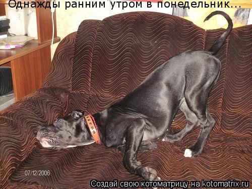 Однажды ранним утром в понедельник...... Котоматрица: Однажды ранним утром в понедельник...