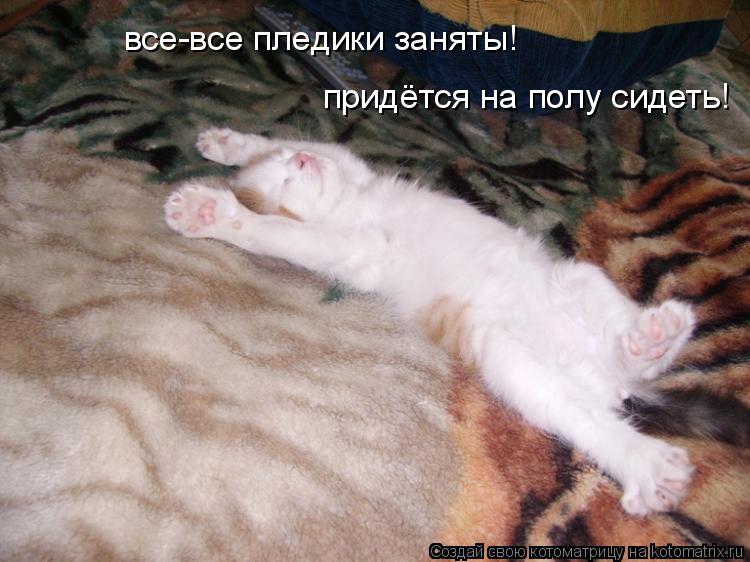 все-все пледики заняты! придётся на полу сидеть!... Котоматрица: все-все пледики заняты! придётся на полу сидеть!