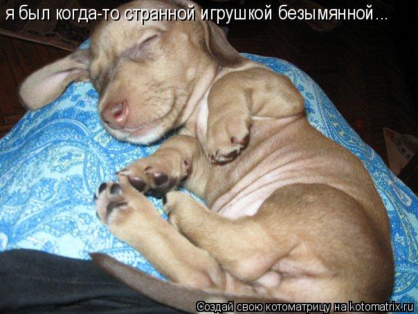 я был когда-то странной игрушкой безымянной...... Котоматрица: я был когда-то странной игрушкой безымянной...