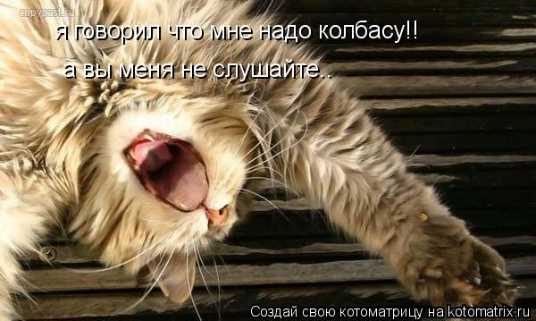 я говорил что мне надо колбасу!! я говорил что мне надо колбасу!! а вы меня не слушайте.. а вы меня н... Котоматрица: я говорил что мне надо колбасу!! я говорил что мне надо колбасу!! а вы меня не слушайте.. а вы меня не слушайте.. план б) будем орать!!!