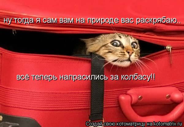 ну тогда я сам вам на природе вас раскрябаю.. всё теперь напрасились за колбасу!! всё теперь напрасил... Котоматрица: ну тогда я сам вам на природе вас раскрябаю.. всё теперь напрасились за колбасу!! всё теперь напрасились за колбасу!!