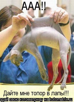 ААА!! Дайте мне топор в лапы!!!... Котоматрица: ААА!! Дайте мне топор в лапы!!!