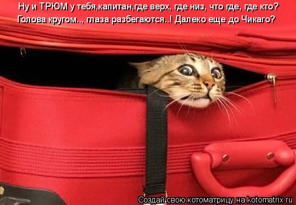 Ну и ТРЮМ у тебя,капитан,где верх, где низ, что где, где кто? Голова кругом.., глаза разбегаются..! Д... Котоматрица: Ну и ТРЮМ у тебя,капитан,где верх, где низ, что где, где кто? Голова кругом.., глаза разбегаются..! Далеко еще до Чикаго?