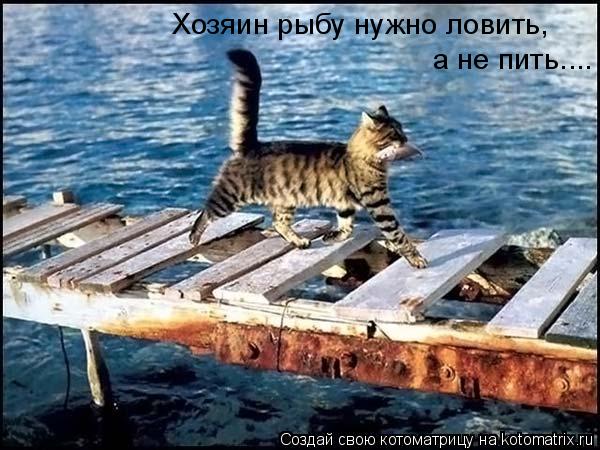 Хозяин рыбу нужно ловить, а не пить....... Котоматрица: Хозяин рыбу нужно ловить, а не пить....