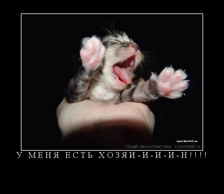 У МЕНЯ ЕСТЬ ХОЗЯИ-И-И-И-Н!!!! ... Котоматрица: У МЕНЯ ЕСТЬ ХОЗЯИ-И-И-И-Н!!!!