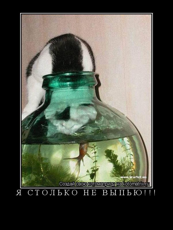 Я СТОЛЬКО НЕ ВЫПЬЮ!!! ... Котоматрица: Я СТОЛЬКО НЕ ВЫПЬЮ!!!