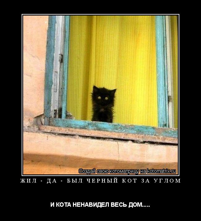 ЖИЛ - ДА - БЫЛ ЧЕРНЫЙ КОТ ЗА УГЛОМ И КОТА НЕНАВИДЕЛ ВЕСЬ ДОМ........ Котоматрица: ЖИЛ - ДА - БЫЛ ЧЕРНЫЙ КОТ ЗА УГЛОМ И КОТА НЕНАВИДЕЛ ВЕСЬ ДОМ.....