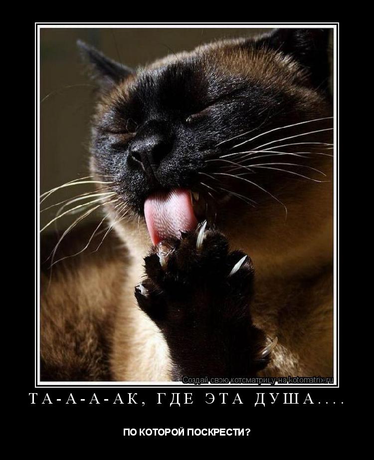 ТА-А-А-АК, ГДЕ ЭТА ДУША.... ПО КОТОРОЙ ПОСКРЕСТИ?... Котоматрица: ТА-А-А-АК, ГДЕ ЭТА ДУША.... ПО КОТОРОЙ ПОСКРЕСТИ?