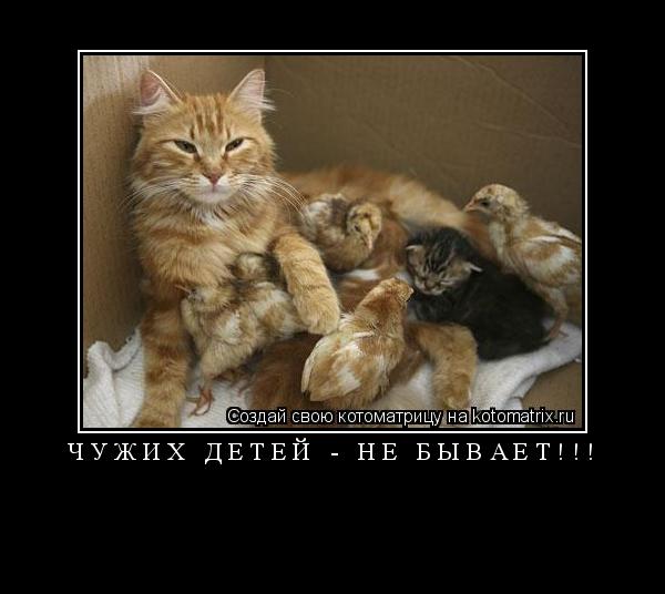 ЧУЖИХ ДЕТЕЙ - НЕ БЫВАЕТ!!! ... Котоматрица: ЧУЖИХ ДЕТЕЙ - НЕ БЫВАЕТ!!!