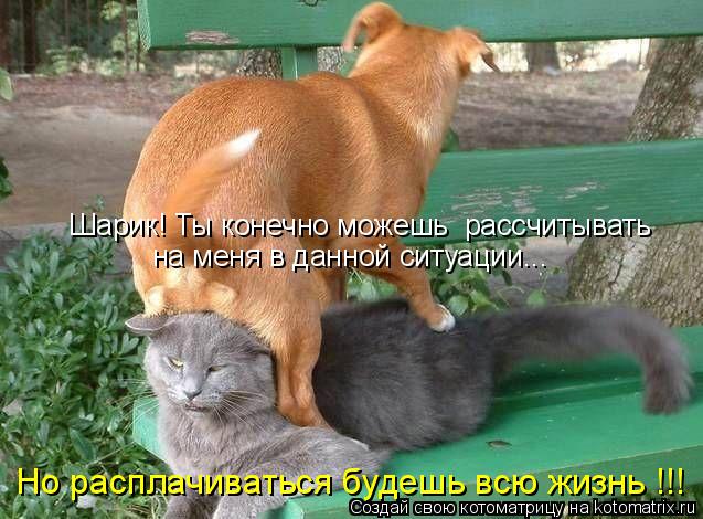 Шарик! Ты конечно можешь рассчитывать на меня в данной ситуации... Но расплачиваться будешь всю жизн... Котоматрица: Шарик! Ты конечно можешь рассчитывать на меня в данной ситуации... Но расплачиваться будешь всю жизнь !!!